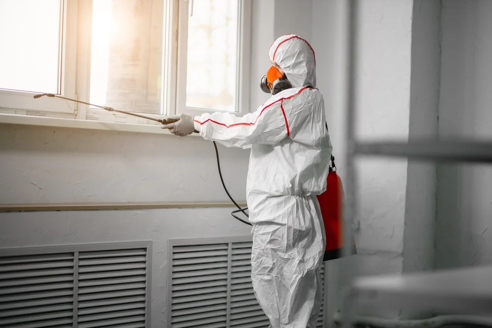 Professional mold remediation services in Shirley, IN